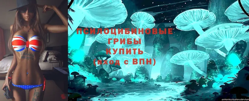 Псилоцибиновые грибы MAGIC MUSHROOMS  kraken зеркало  Мосальск 